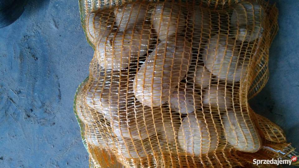 Sprzedam ziemniaki jadalne Marabell Bellarosa