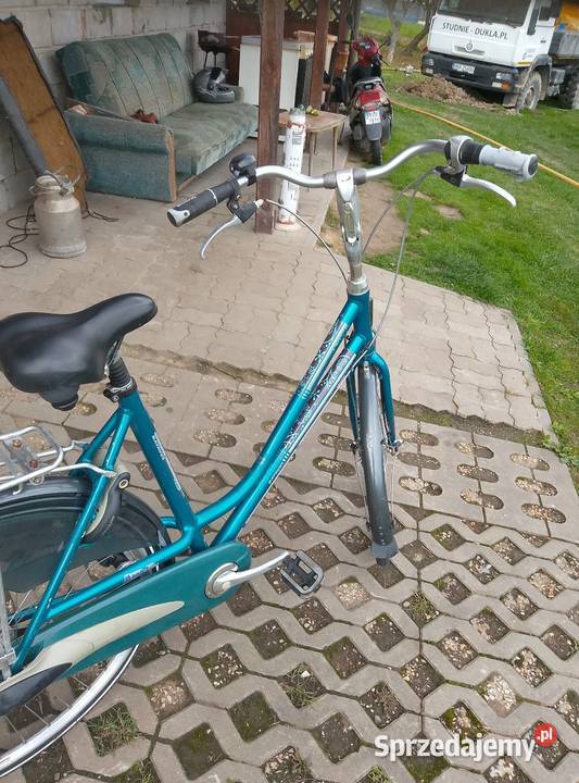 Rower holenderski bavatus