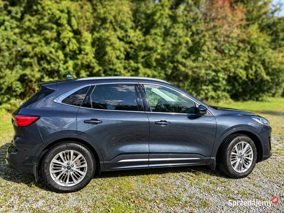Ford Kuga III 2019 SUV Samochody osobowe Sadlno