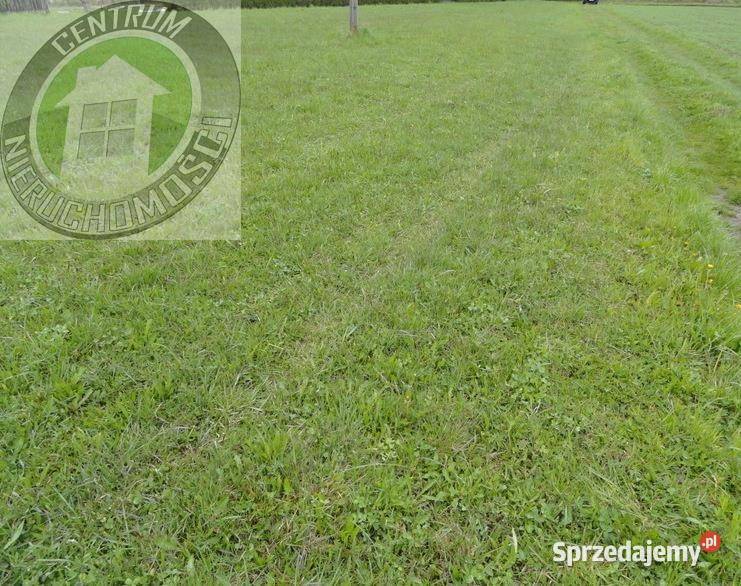 Grunt 4100m2 Łęki