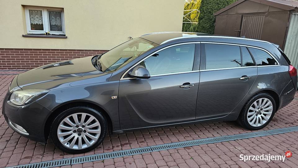 Opel Insignia 20 CDTI 130 2009 Xenon
