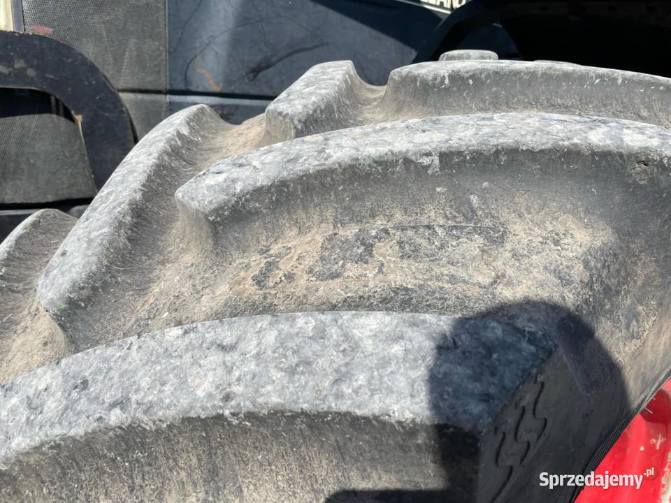 Holland TM 150 wielkopolskie Leszno sprzedam