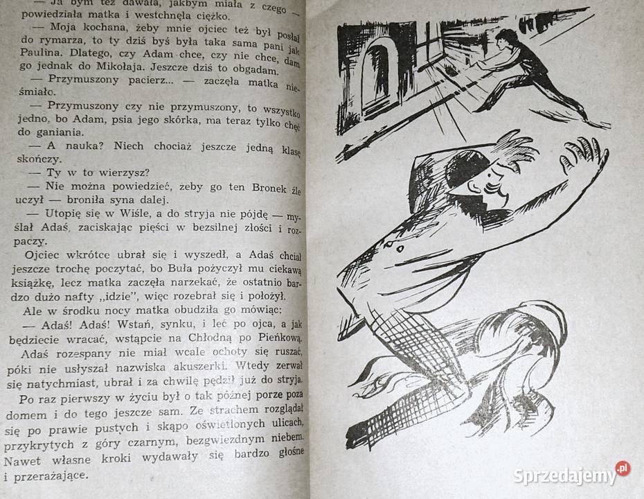 Mały chłopiec na wielkiej drodze Maria Szulecka lubelskie Chełm sprzedam