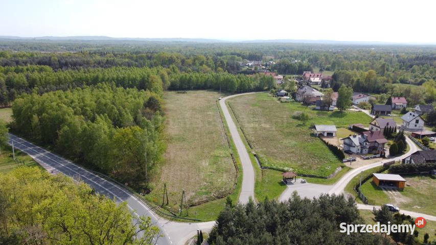 sprzedaży gruntu 17500m2 RudyRysie Grunty i działki Rudy-Rysie