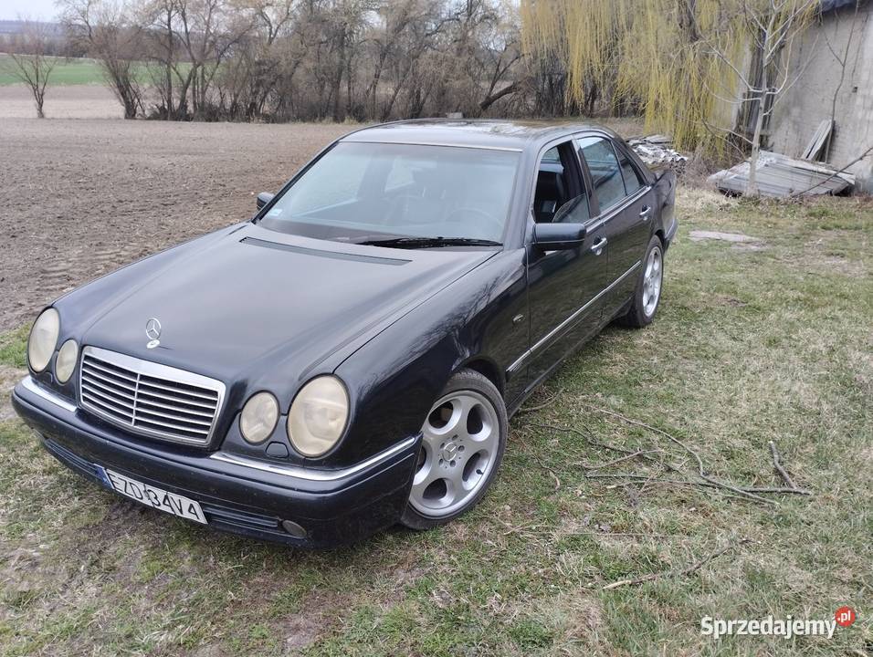 Mercedes w210 42 AMG elektrycznie ustawiane fotele Kasiłan