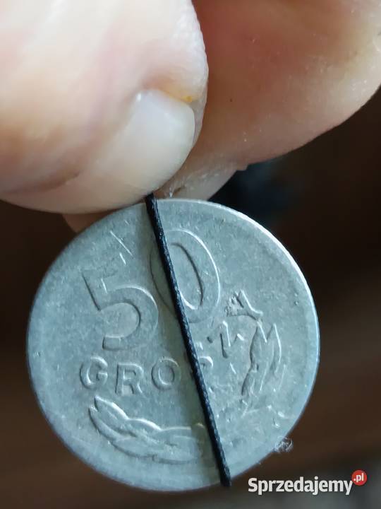 moneta 50 gr 1949 r skretka Numizmatyka Chełm sprzedam