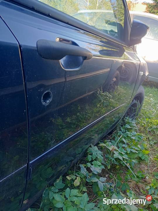 Drzwi prawe przód przednie fiat stilo HB kolor Szczecin sprzedam