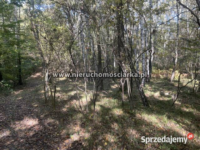 Grunt 15421m2 Czyżowice 9zł/m2