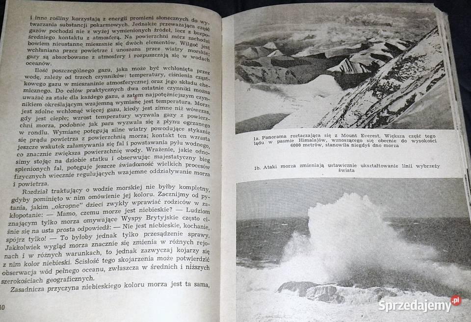 Drugi żywioł Richard Carrington Chełm