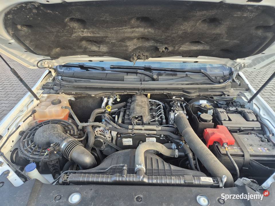 FVAT 23 2019 Ford Ranger 4x4 22 131 HAK Bujaków sprzedam