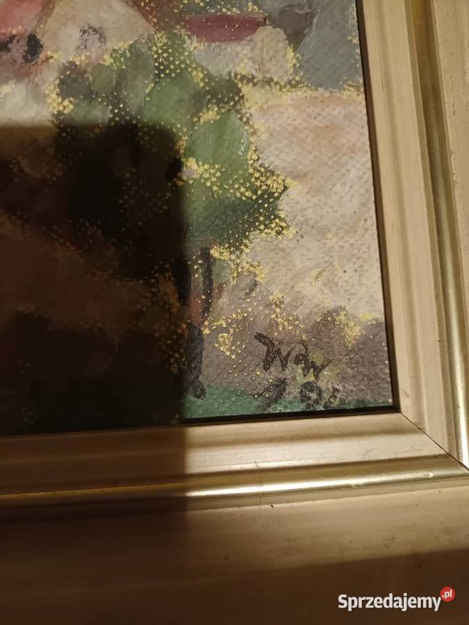 Zabudowy wiejskie wśród drzew w otoczeniu