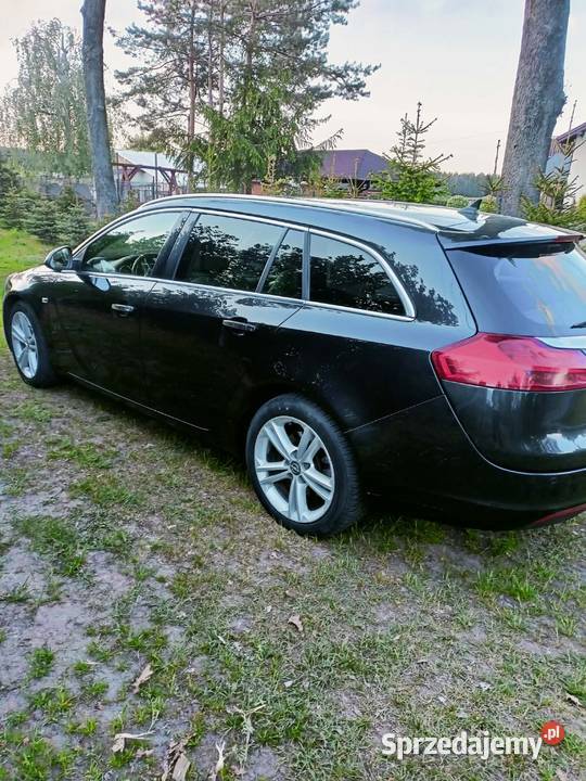 Opel Insignia Budy Trzcińskie