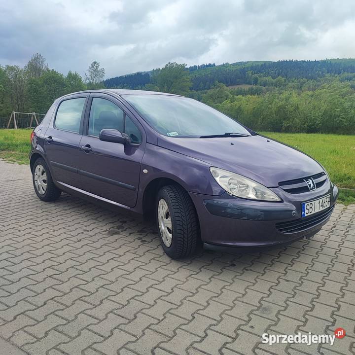 PEUGEOT 307 2005 251300 ZADBANY SPRAWNY śląskie Cięcina