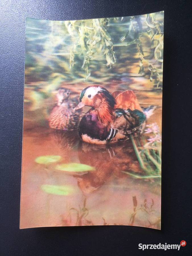 277 Pocztówki Trójwymiarowe 2 zachodniopomorskie