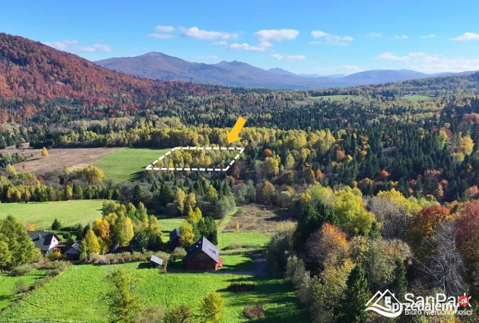 Grunt Krzywe 10100m2 Sprzedaż