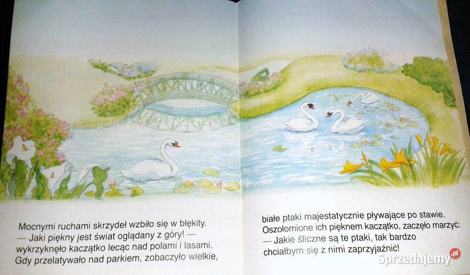 Brzydkie kaczatko Bajki na dobranoc Agnes Chełm sprzedam