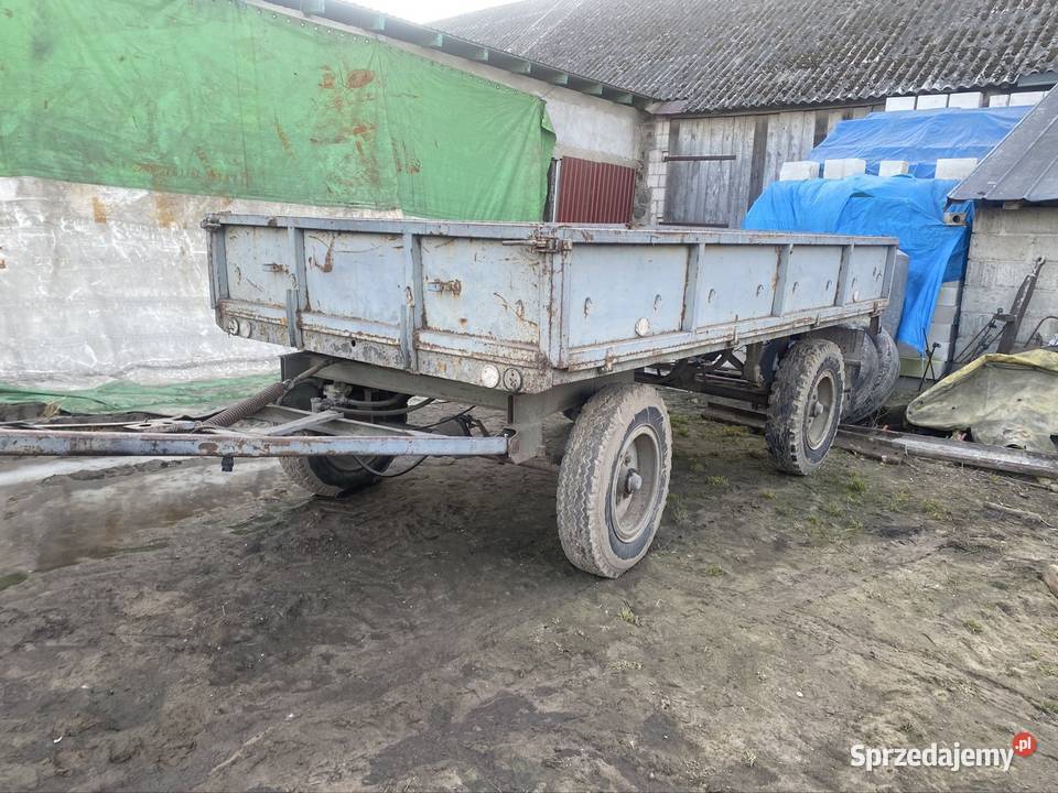 Przyczepa sztywna d46 Białaszewo