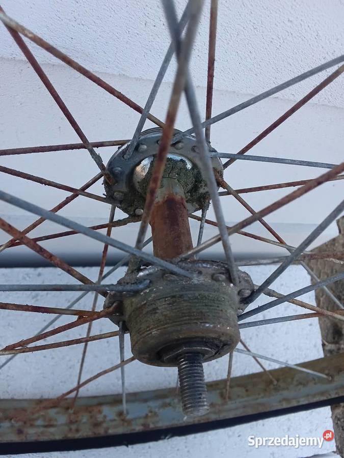 Koło zabytkowy rower 2