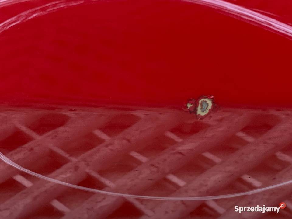 DRZWI PRAWY TYŁ VW GOLF VII Hatchback TORNADOROT