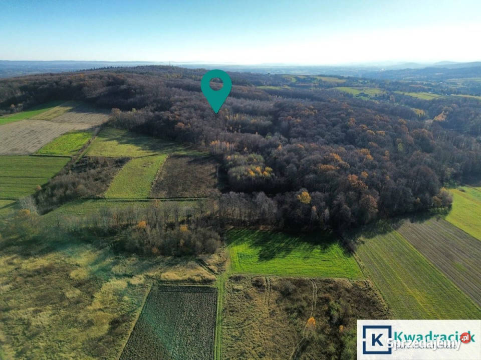 Ogłoszenie grunt Podniebyle 6100m2 rolna