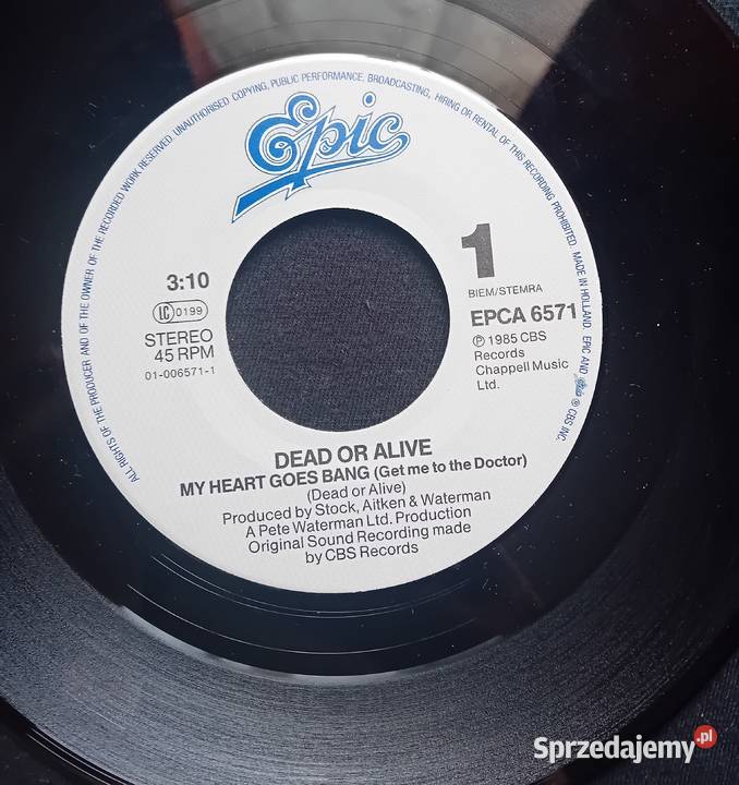 SP Dead or Alive My Heart Goes Bang CBSEpic 1985 Płyty i kasety Koźminek sprzedam