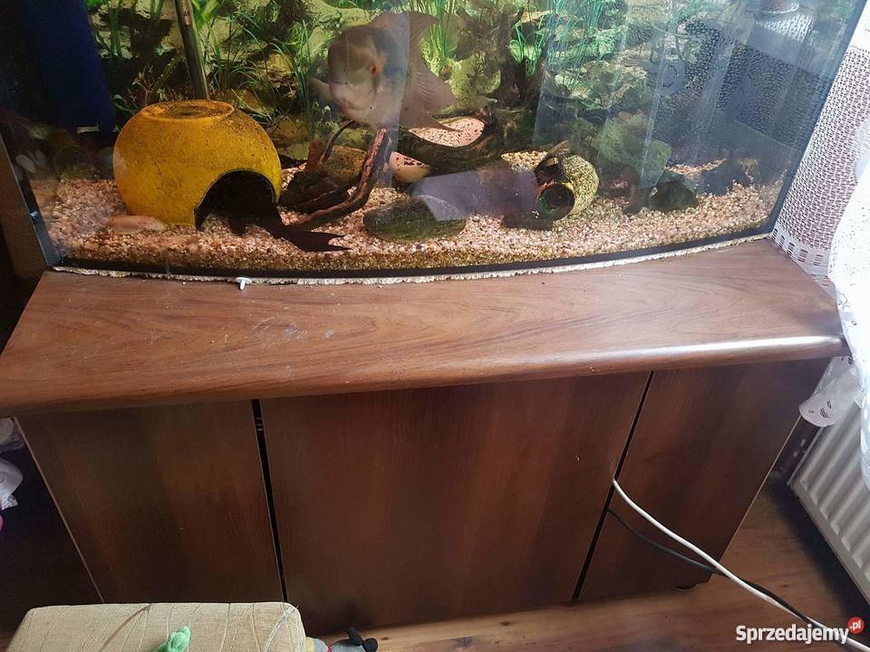 Akwarium 250 litrów ryby Węgrów sprzedam