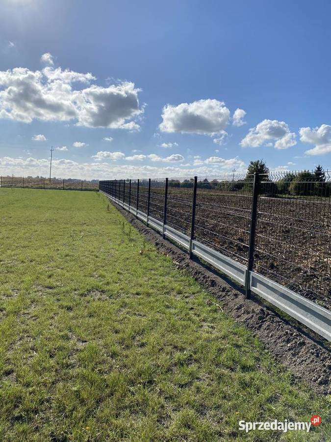 Ogrodzenia Panelowe 3D 2D Palisadowe Bramy ocynk Brudzeń Duży sprzedam