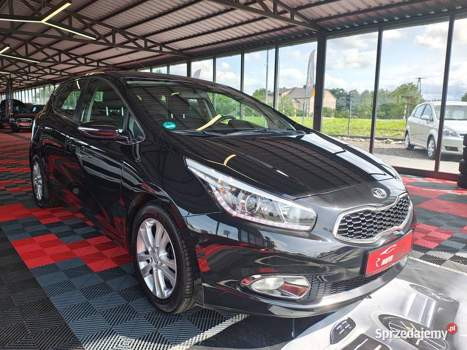 Kia Ceed 16Diesel Bogate Wyposażenie Stan nieuszkodzony Zarszyn