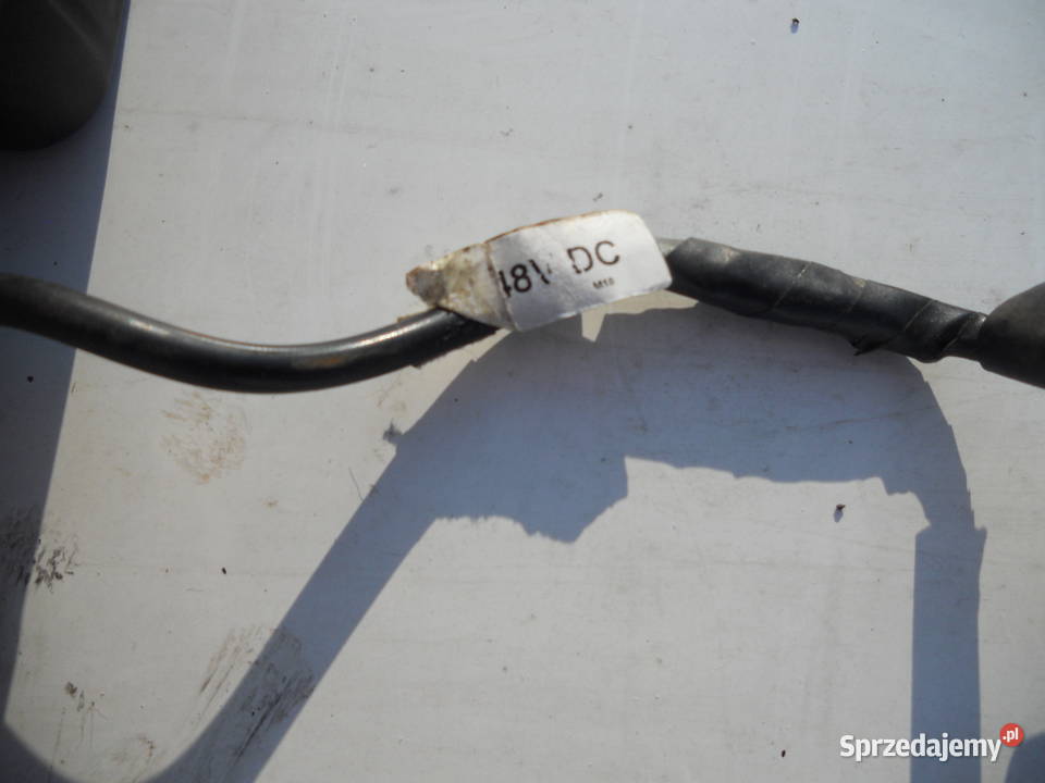 Halogen 48 V Mocny Zajączki Pierwsze