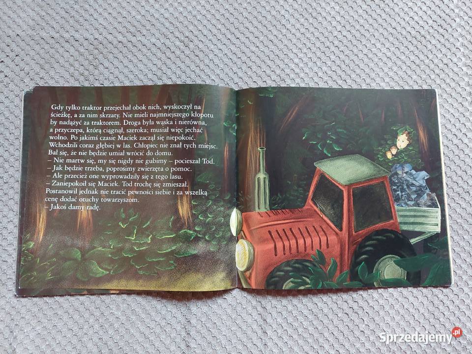 ekobajka Dlaczego zwierzęta opuściły las Kraków