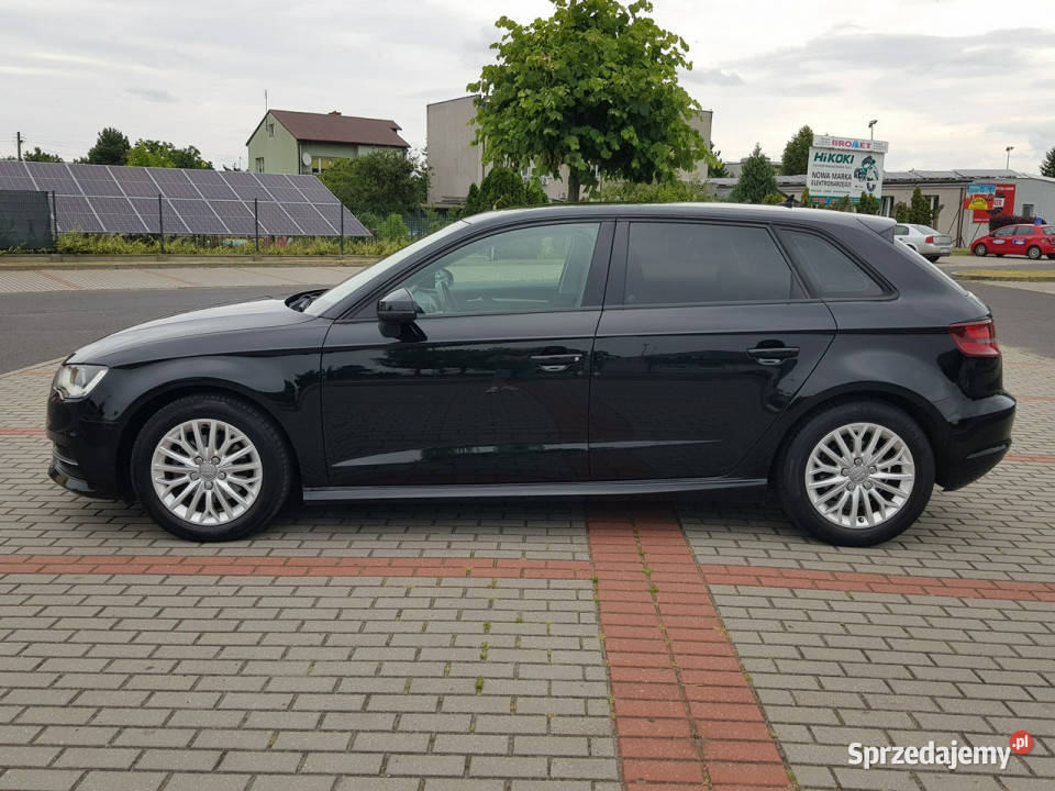 Audi A3 16 TDI Skóry Klimatronik Nawigacja bluetooth A3 kujawsko-pomorskie Włocławek