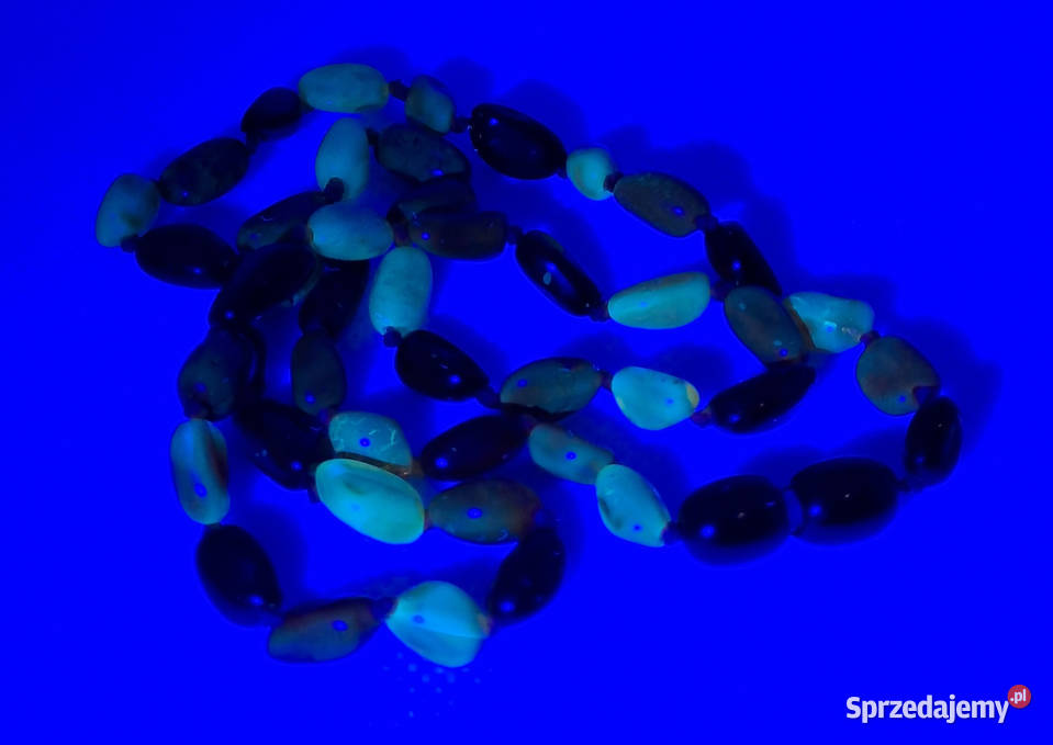 Korale z bursztynu bursztyn bałtycki ryż cytryna Warszawa