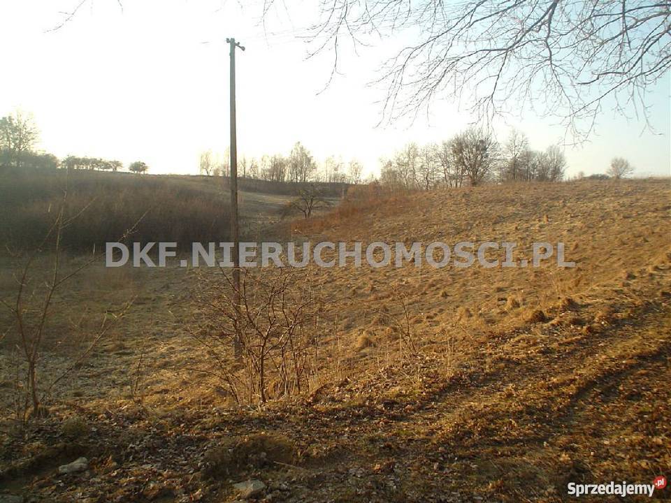 grunt 16000m2 Majdan Ostrowski Majdan Ostrowski