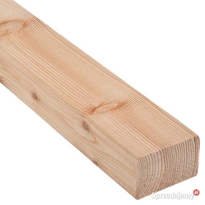 Legary modrzew syberyjski mazowieckie sprzedam