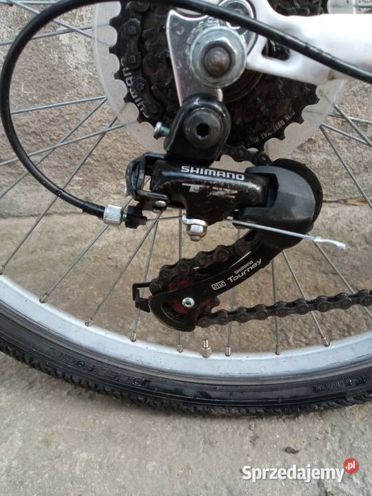 Rower Romet Basia dziewczynki Niemcza