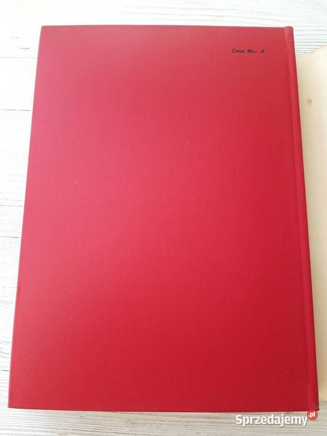 Zarys postepowania w stanach naglących H Bielsko-Biała