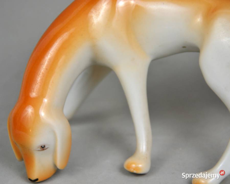 wyżeł węgierski krótkowłosy Aurl Kldor Hollohaza Porcelana i szkło mazowieckie Bronisze