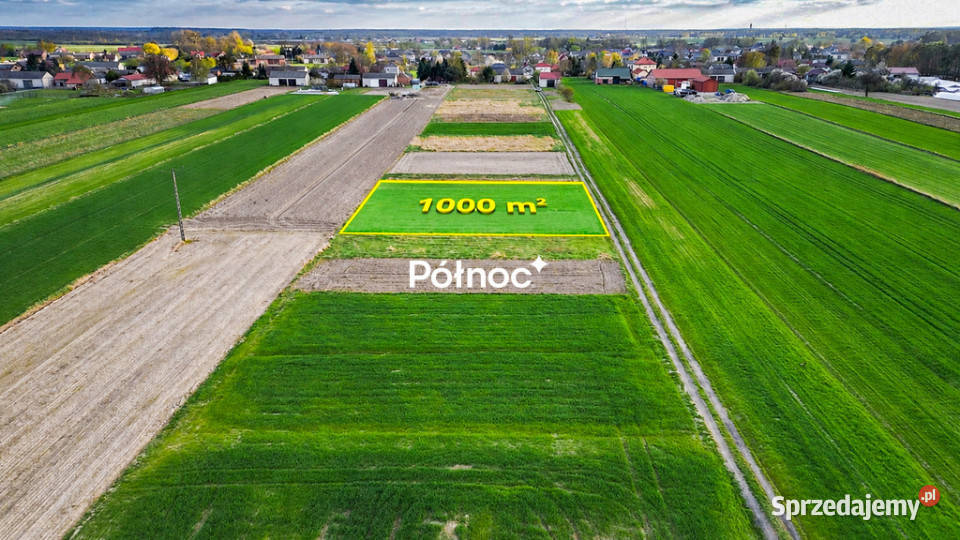 Ostrówek działka siedliskowa 10 ar Sprzedaż
