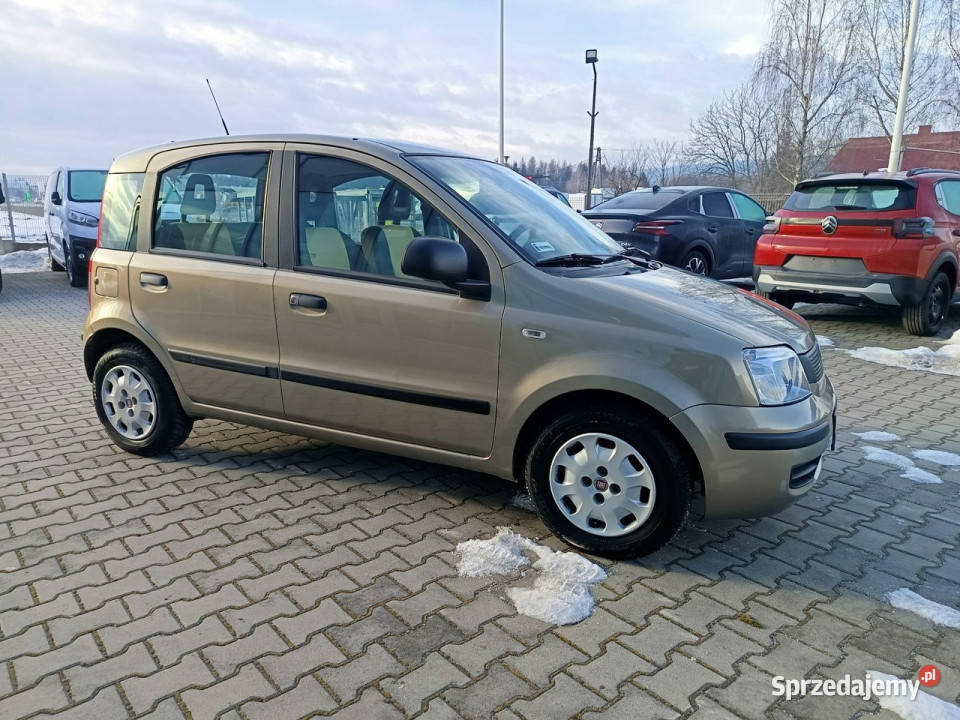 Fiat Panda Actual 12 69 Salon 1 WŁ bezwypadkowy lakier metallic Panda Nowy Sącz
