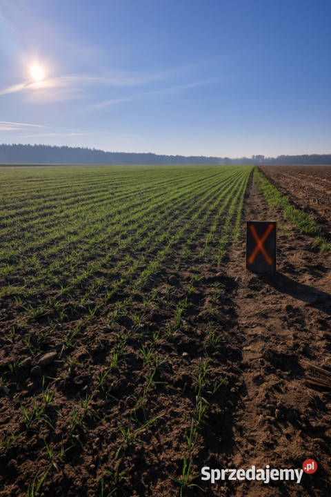 Działki Budowlane w Dogodnej Lokalizacji 690m2 Gorzyce Wielkie