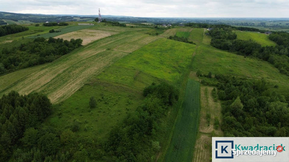 Działka Pruchnik Bieszczadzka 13463 metry