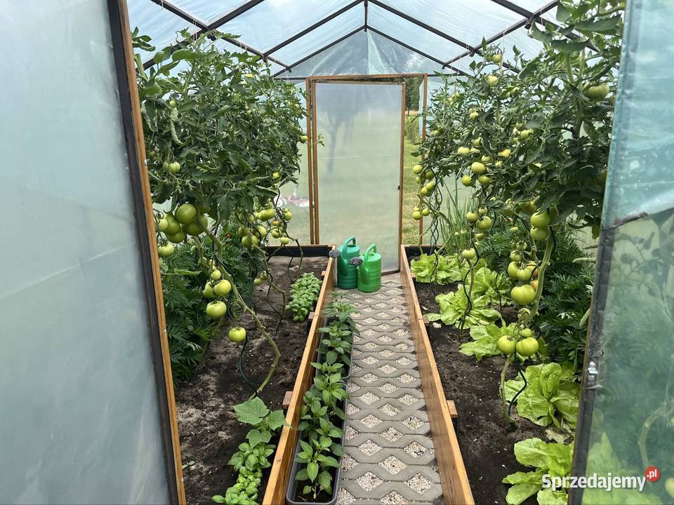 Tunel szklarnia na warzywa Końskie