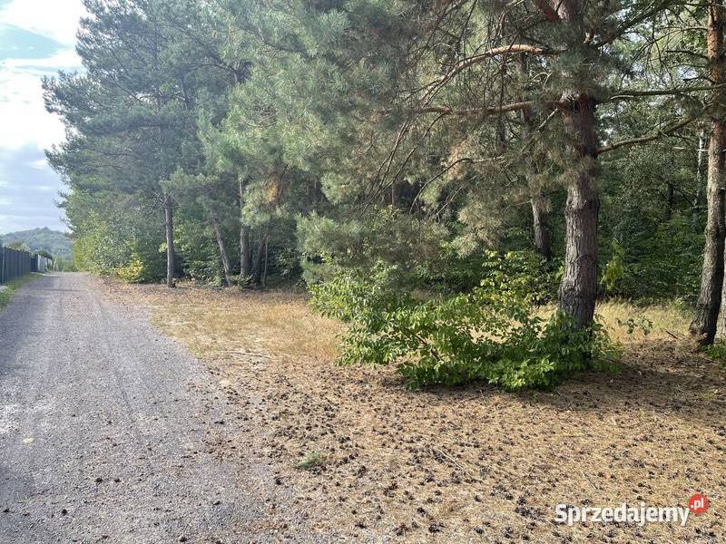 Sprzedam działkę 606m2 Kostkowice k Kroczyce