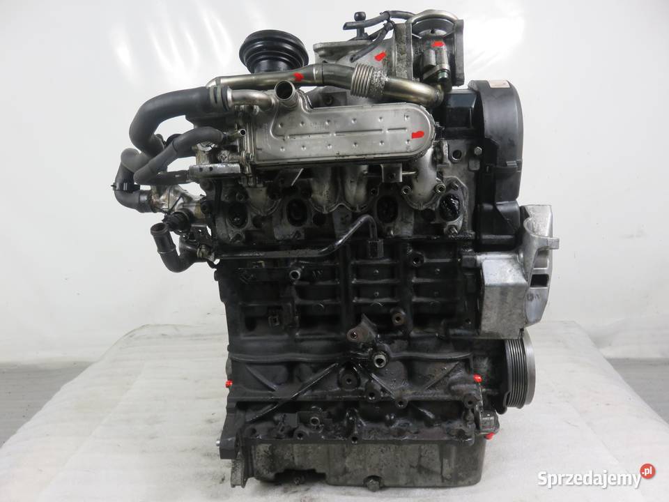 SILNIK AUDI A3 8L1 19 TDI AXR 038130073AQ osobowe