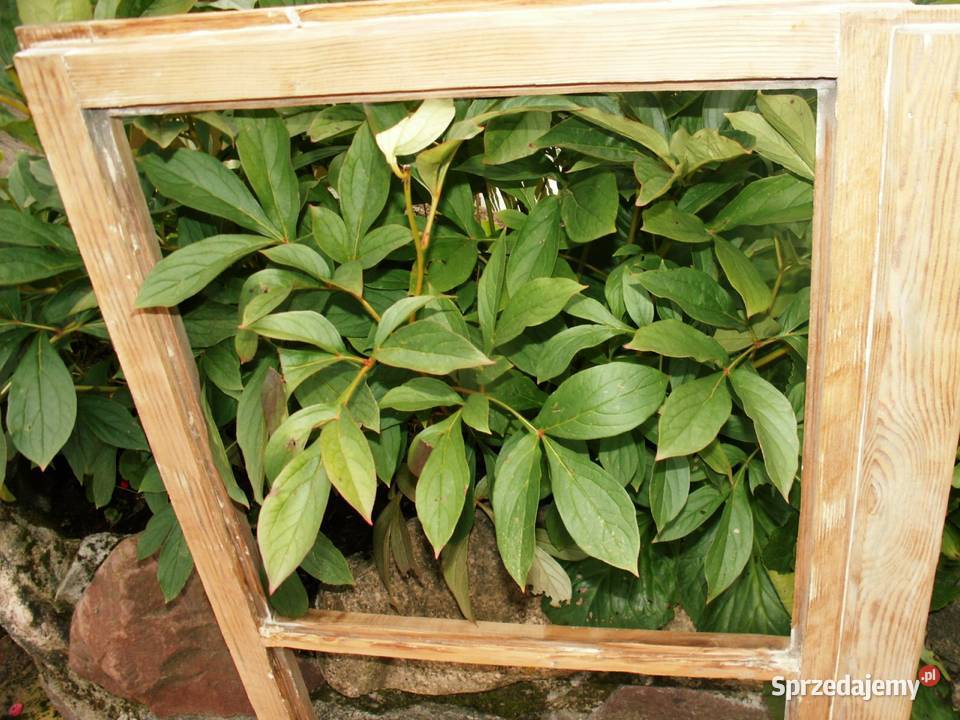 Stare okno rama retro loft lustro zdjęcia 58x101 Dekoracje i ozdoby warmińsko-mazurskie sprzedam