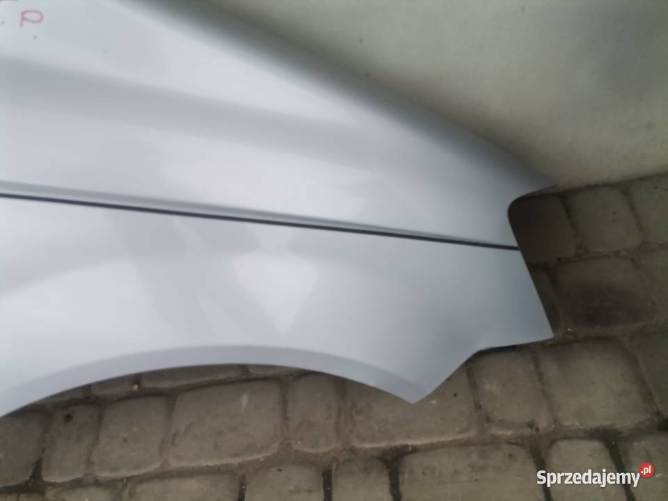HYUNDAI GETZ BŁOTNIK PRAWY PRZEDNI CS małopolskie Nowy Sącz