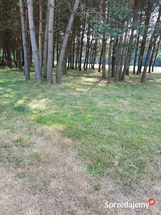 Sprzedam działkę rekreayjną Rybnik