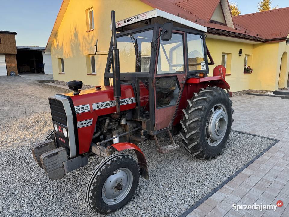 Massey Ferguson 255 mf 255 Ursus 3512 235 2812 Massey Ferguson podkarpackie Rzeszów