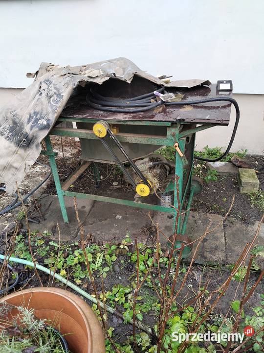 Piła stołowa krajzega Gniezno