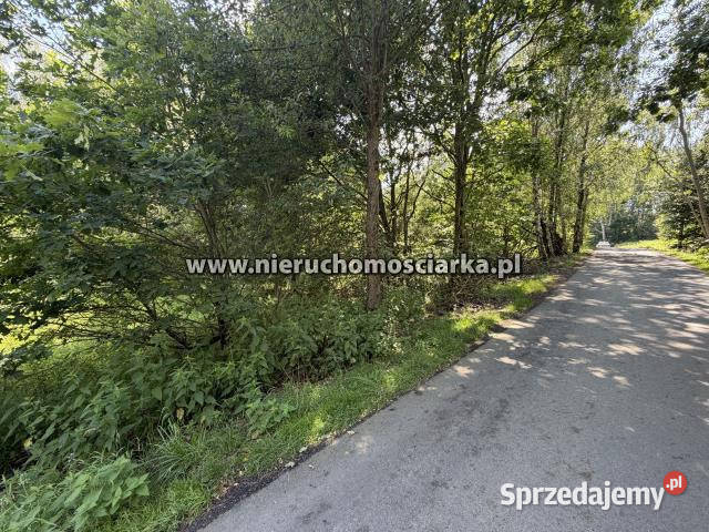Działka Mszana 3550m2 Sprzedaż